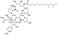Pneumocandin-B0-135575-42-7.gif