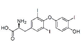 l-liothyronine API Supplier & Distributor _ Buy CAS 6893-02-3