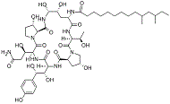 Pneumocandin B0 api supplier _ manufacturer from china